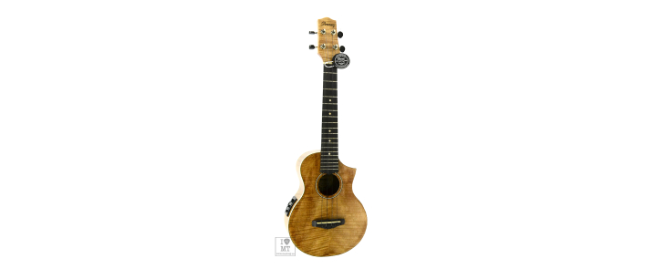 IBANEZ UEW15E Укулеле