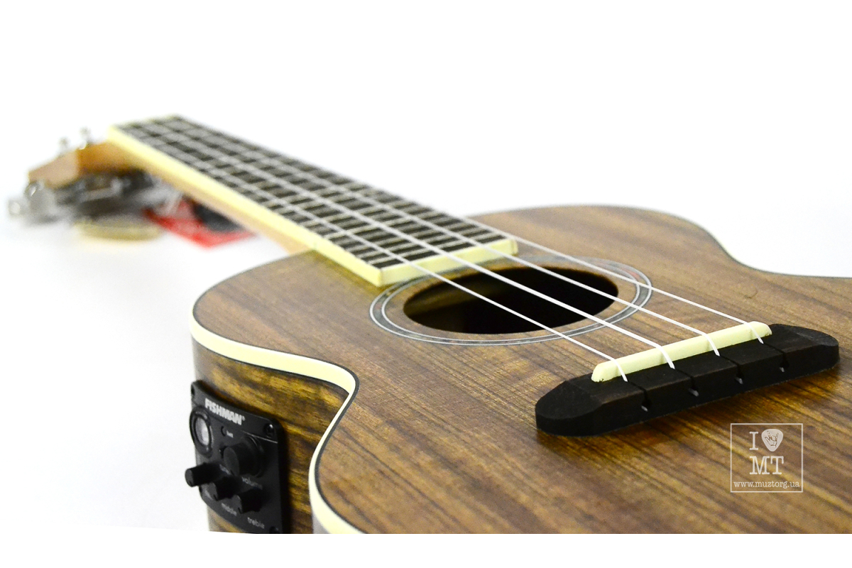 FENDER UKULELE RINCON TENOR NATURAL Укулеле