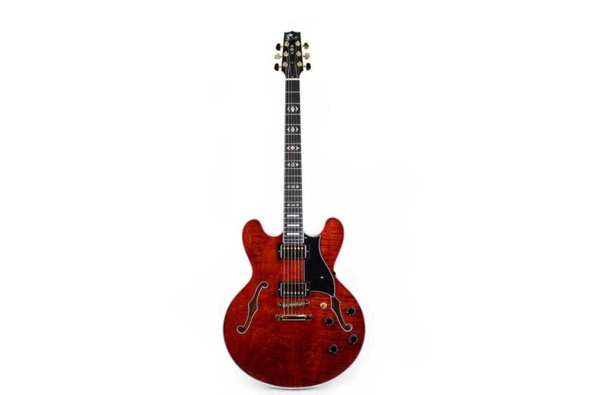 Гитара полуакустическая HERITAGE H555 B AM W SETH'S