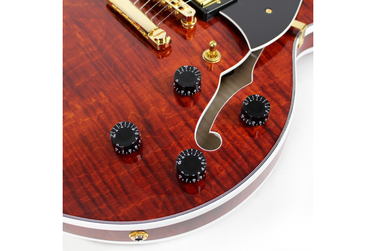 Гитара полуакустическая HERITAGE H555 B AM W SETH'S