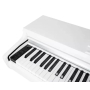 Kawai KDP120W Цифровое пианино