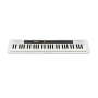 Синтезатор CASIO CT-S200WEC7