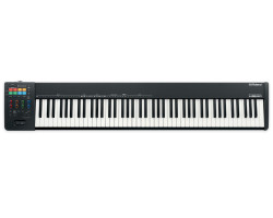 ROLAND A-88MKII MIDI клавиатура