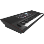 Синтезатор ROLAND E-X50