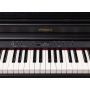 ROLAND RP701 CB Цифровое пианино
