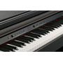 KURZWEIL KA130 SR Цифровое пианино
