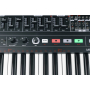 Arturia MiniBrute 2 Noir Edition Синтезатор
