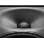 NEUMANN KH 120 II Студийный монитор