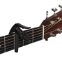 D'ADDARIO PW-CP-10 Каподастр