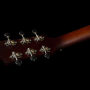 Гітара електроакустична GODIN Metropolis LTD Havana Burst HG EQ