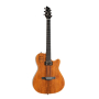 Гитара полуакустическая GODIN A6 ULTRA Extreme Koa HG