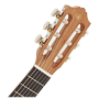 Укулеле YAMAHA GL1 TBS
