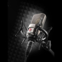 NEUMANN TLM 103-25 Years Edition Микрофон