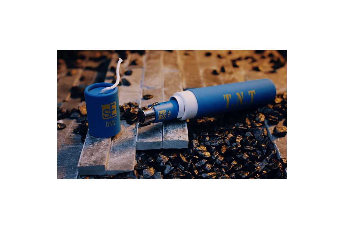 SE ELECTRONICS DM2 Попередній підсилювач мікрофонний