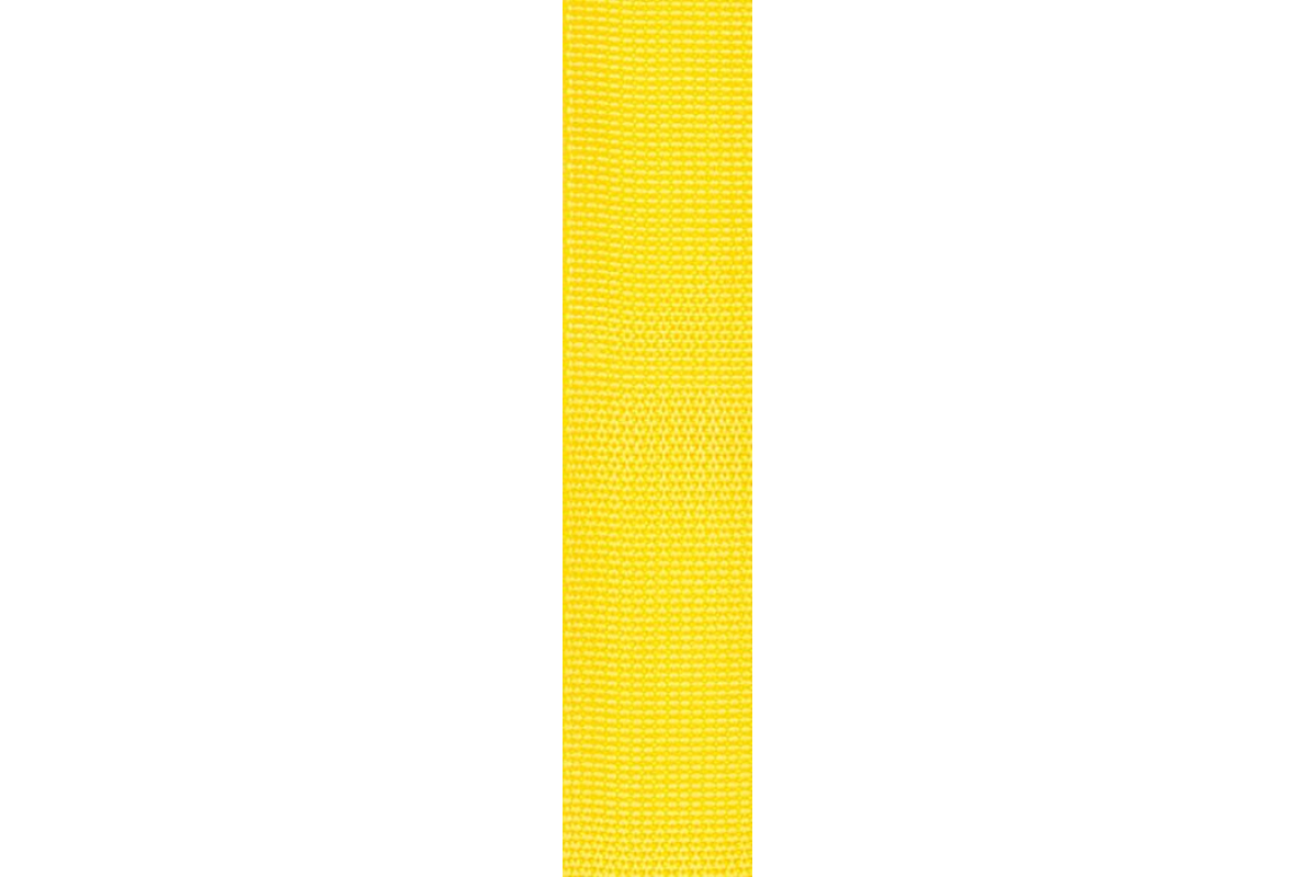 Ремінь гітарний D’ADDARIO PWSPL210