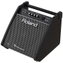 Комбоусилитель для ударных Roland PM-100