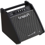 Комбоусилитель для ударных Roland PM-100