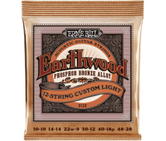 Струны для акустических гитар ERNIE BALL 2152 Earthwood Acoustic Phosphor Bronze 12-String Light 10/48