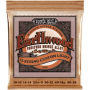 Струны для акустических гитар ERNIE BALL 2152 Earthwood Acoustic Phosphor Bronze 12-String Light 10/48