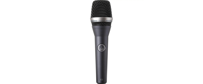 Микрофон AKG C5