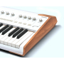 Аранжировочная станция ARTURIA ASTROLAB 61 WHITE VERSION