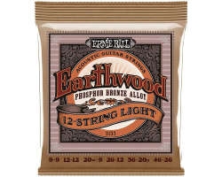 Струни для акустичних гітар ERNIE BALL 9-46 Earthwood Acoustic Phosphor Bronze 12-String Light P02153
