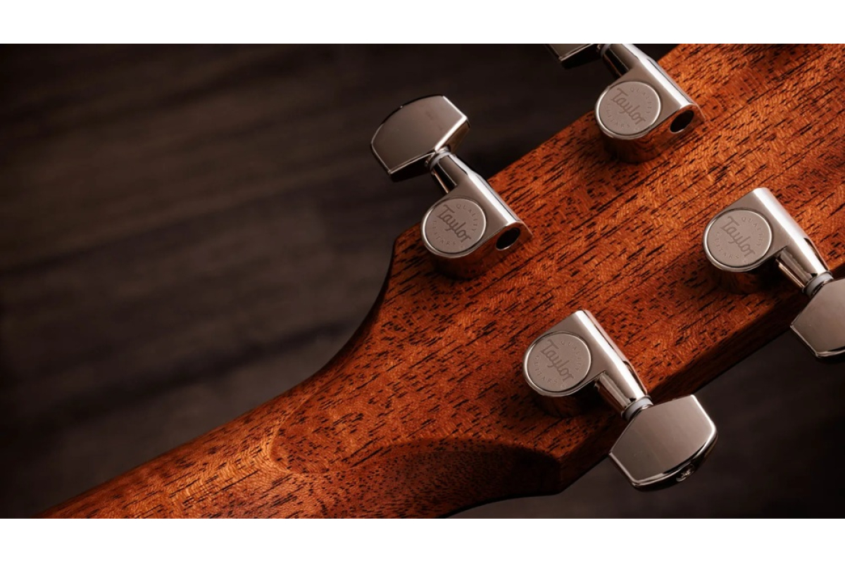 Гитара электроакустическая TAYLOR GUITARS Gold Label 514e Sunburst Cream Pickguard
