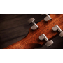 Гитара электроакустическая TAYLOR GUITARS Gold Label 514e Sunburst Cream Pickguard