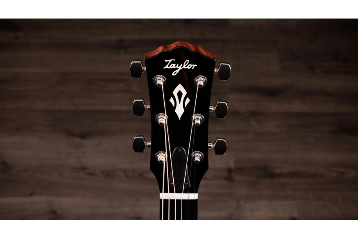 Гитара электроакустическая TAYLOR GUITARS Gold Label 514e Sunburst Cream Pickguard
