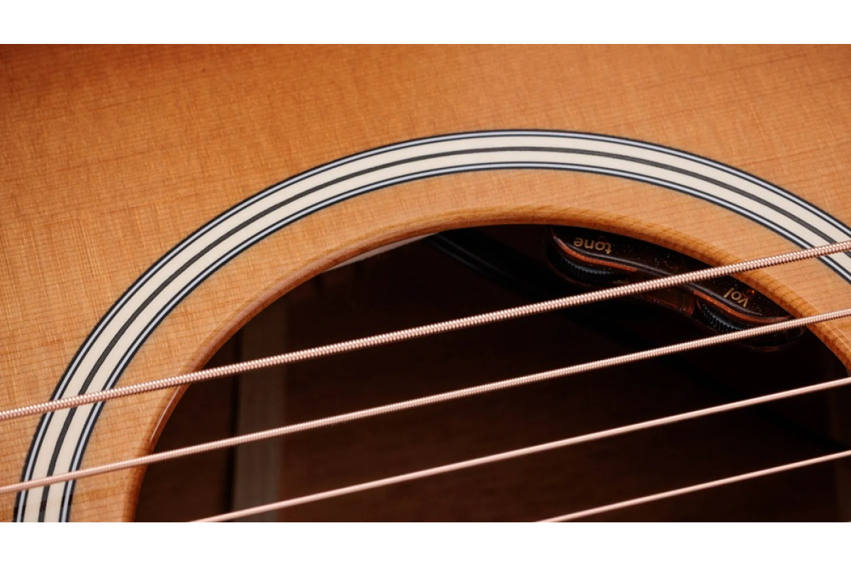 Гитара электроакустическая TAYLOR GUITARS Gold Label 514e Sunburst Cream Pickguard