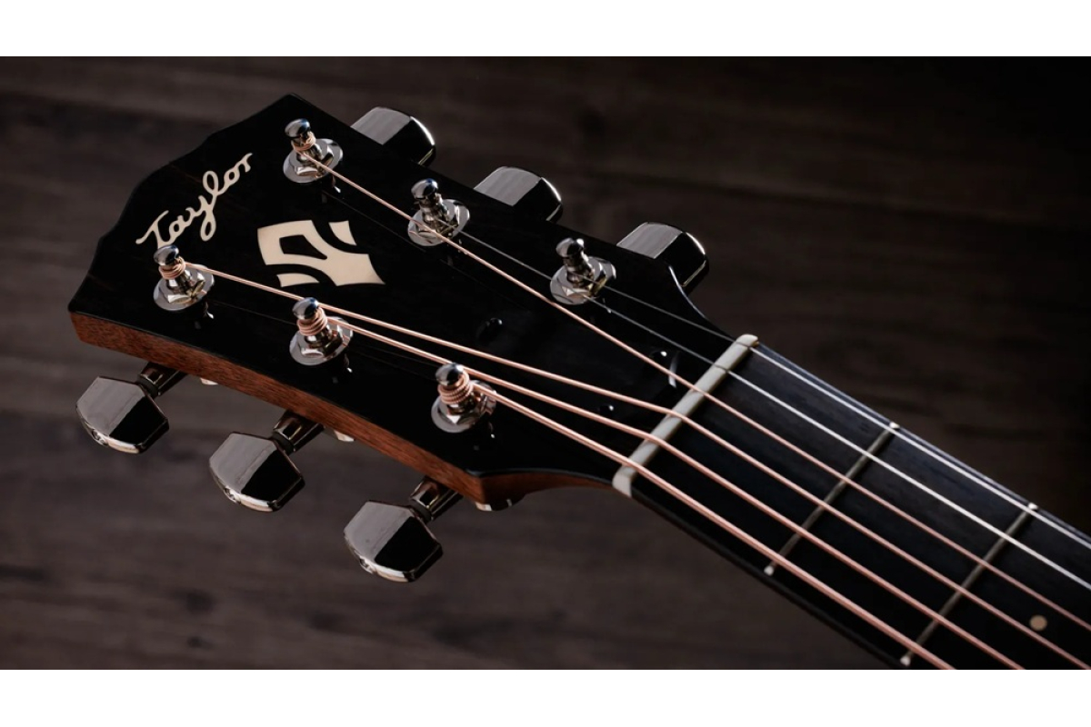 Гитара электроакустическая TAYLOR GUITARS Gold Label 514e Sunburst Cream Pickguard