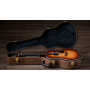 Гитара электроакустическая TAYLOR GUITARS Gold Label 717e Sunburst Firestripe Pickguard