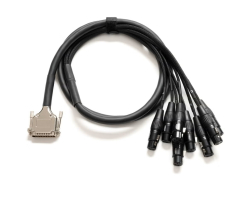 Мультикор WARM AUDIO Prem Series - DB25-XLRf Cable 20' (6.1 meters)