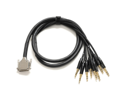 Мультикор WARM AUDIO Prem Series - DB25-TRSm Cable 6' (1.8 meters)