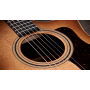 Гитара электроакустическая TAYLOR GUITARS 314ce Studio Shaded Edgeburst