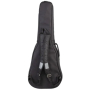 Чехол для классической гитары PROEL BAG150C34