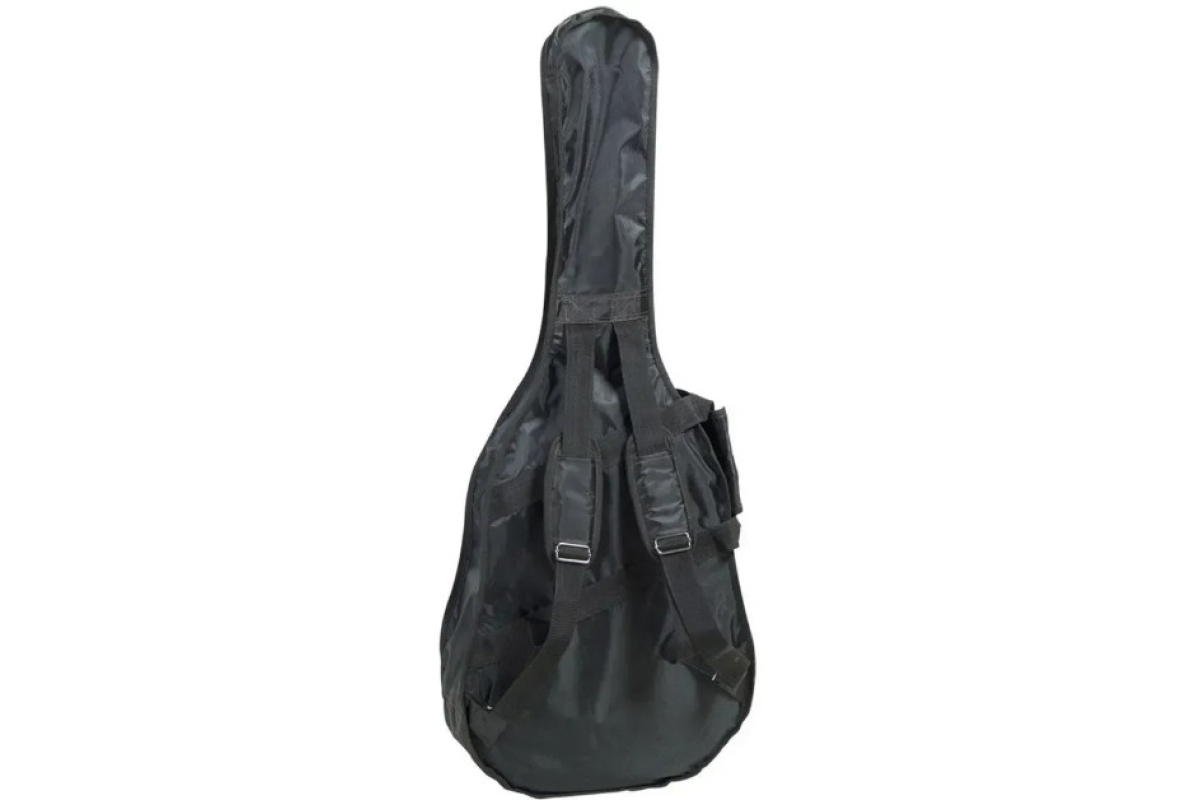 Чехол для акустической гитары PROEL BAG110PN