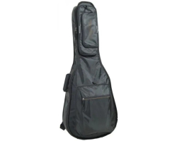 Чехол для акустической гитары PROEL BAG210PN