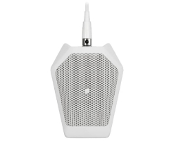 Мікрофон AUDIO-TECHNICA U851RWb