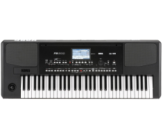 Аранжувальна станція KORG PA300
