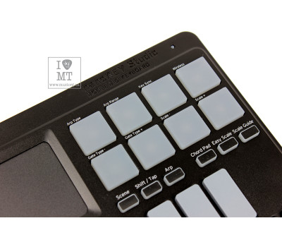Купить KORG NANOKEY-ST STUDIO MIDI контроллер онлайн