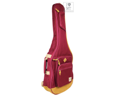 Чохол для класичної гітари IBANEZ ICB541 WR