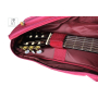 Чохол для класичної гітари IBANEZ ICB541 WR