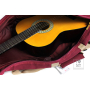Чохол для класичної гітари IBANEZ ICB541 WR
