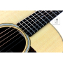 Гітара акустична TAYLOR GUITARS GS MINI