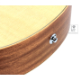 Гітара акустична TAYLOR GUITARS GS MINI