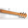 Гітара акустична TAYLOR GUITARS GS MINI