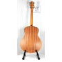 Гітара акустична TAYLOR GUITARS GS MINI
