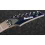 Електрогітара IBANEZ RG2027XL DTB