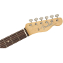 FENDER JIMMY PAGE TELECASTER RW NAT Электрогитара